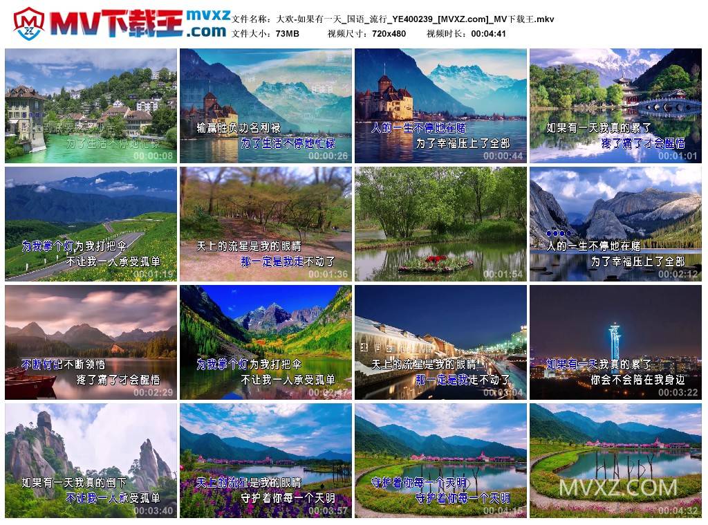 大欢-如果有一天_国语_流行_YE400239